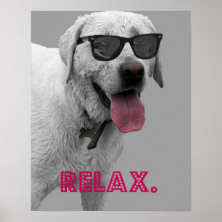 Poster Chien portant des lunettes de soleil, détendez-vou