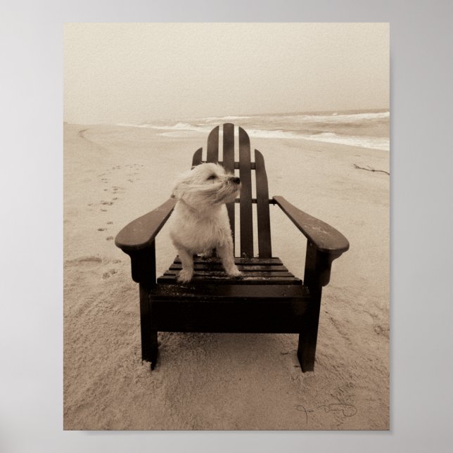 Poster Chien Profitant de la plage (Devant)