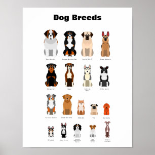 Poster Chien reproduit l'affiche.