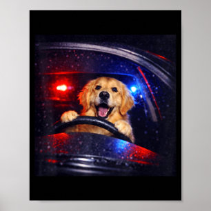 Poster Chien retriever doré drôle conduisant un mème de c