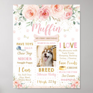 Poster Chien rose rose pâle 1er anniversaire Jalon