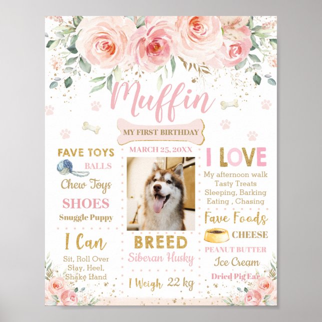 Poster Chien rose rose pâle 1er anniversaire Jalon (Devant)