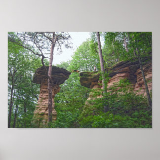 Poster Chien sautant de Stand Rock dans Wisconsin Dells