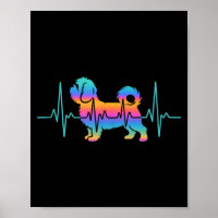 Chien shih tzu shih tzu chien battement de coeur s
