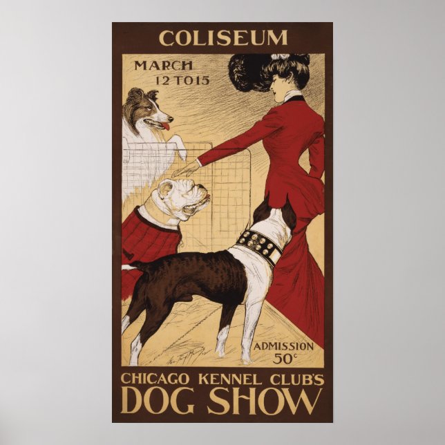 Poster Chien Show 1902 du Chicago Kennel Club (Devant)