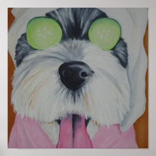 Poster Chien spa