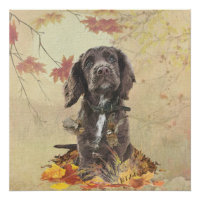 Chien spaniel spaniel cocker au chocolat