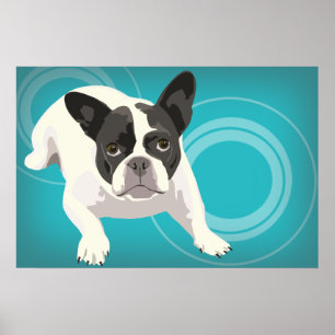 Poster Chien-taureaux français noir et blanc sur Arrière 
