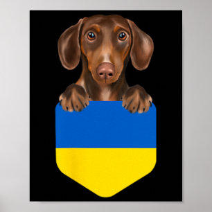 Poster Chien teckel marron au drapeau ukrainien dans la p