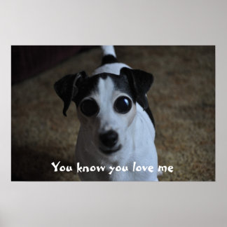 Poster chien, tu sais que tu m'aimes.