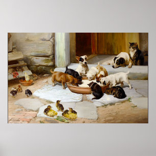 Poster Chien vintage Chien Chat Chien Chien Chaton Chaton