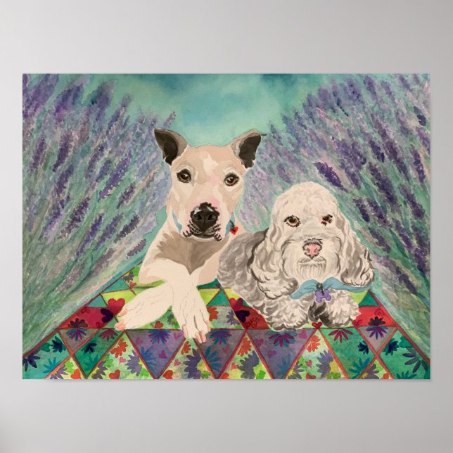 Poster Chiens avec courtepointe dans le champ lavande (Devant)