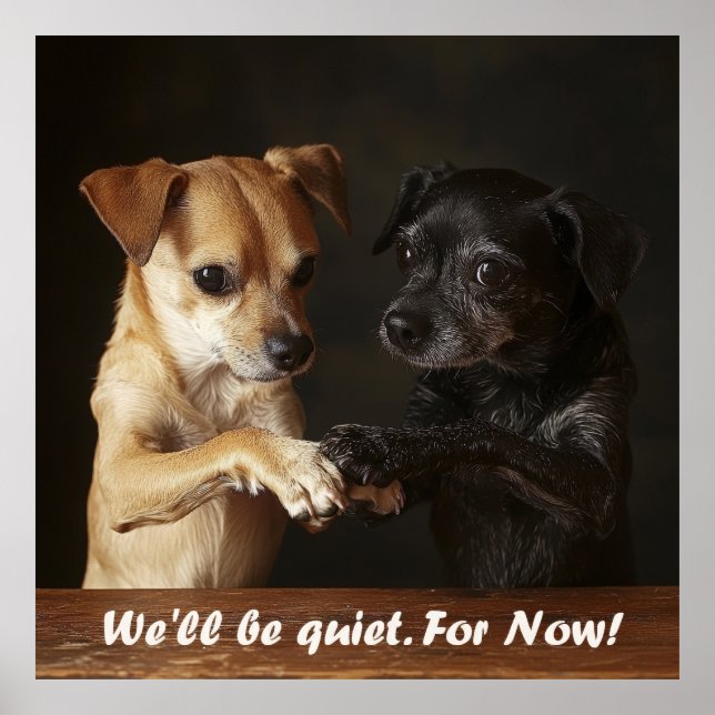 Poster Chiens Bruyants (Devant)