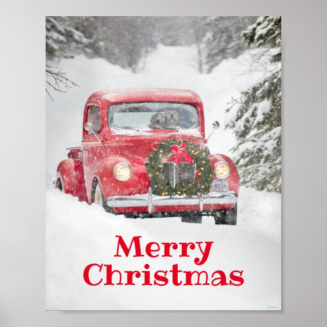 Poster Chiens dans un camion (Devant)