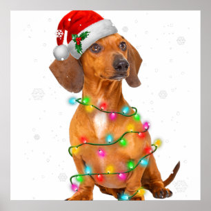 Poster Chiens de Dachshund Arbre de Noël Sweat de Noël 