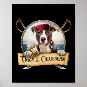 Poster Chiens De La Caraïbe - Cute Staffordshire Terrier