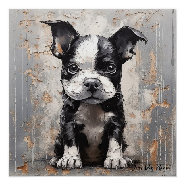 Poster Chiens de marionnettes de Boston Terrier 005 - Rai (Devant)