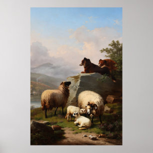 Poster Chiens de mouton gardant le mouton, surplombant la