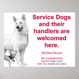 Poster Chiens de service sont les bienvenus
