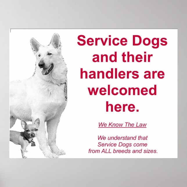 Poster Chiens de service sont les bienvenus (Devant)