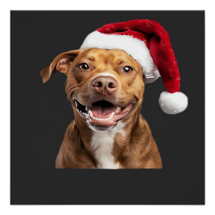 Poster Chiens heureux à Noël Drôles de chiens T-Shirt Cla