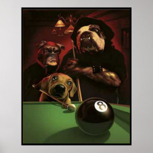 Poster Chiens jouant la piscine - l'Eightball
