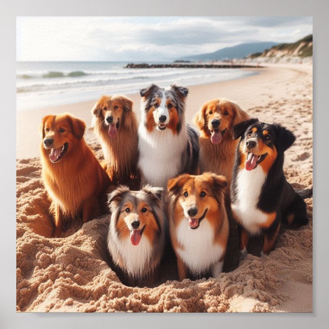 Poster chiens jouant sur la plage en été (Devant)