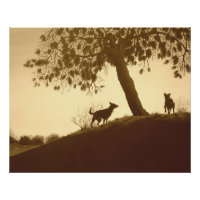 chiens pittoresques originaux dans le parc sepia p