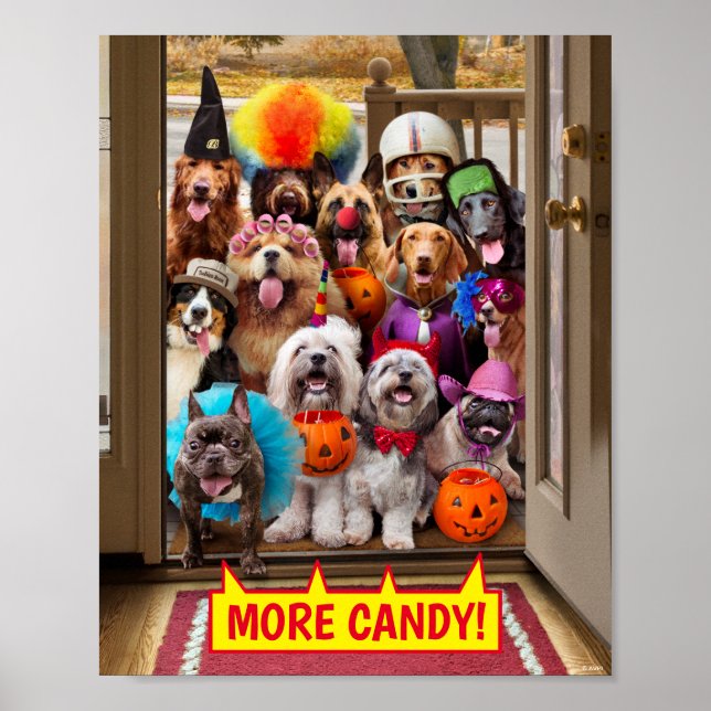 Poster Chiens qui font des pieds ou des pieds (Devant)