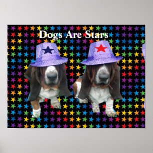 Poster Chiens Sont Des Étoiles