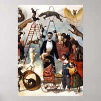 Chiens vintages Cirque Illustration Art Antique