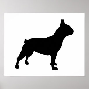 Poster Chiffre de taureau français