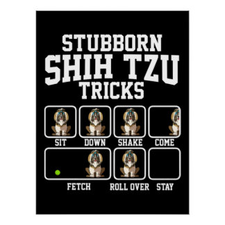 Poster Chih Tzu Chien Tzu Stubborn