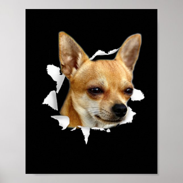 Poster Chihuahua (Devant)