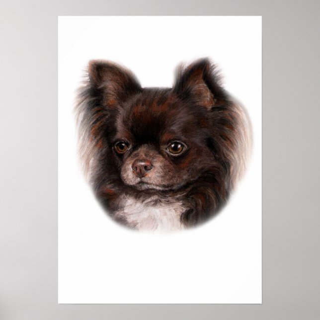 Poster Chihuahua (Devant)