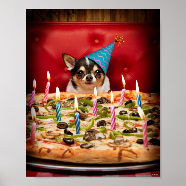 Poster Chihuahua Anniversaire Pizza Pie (Devant)