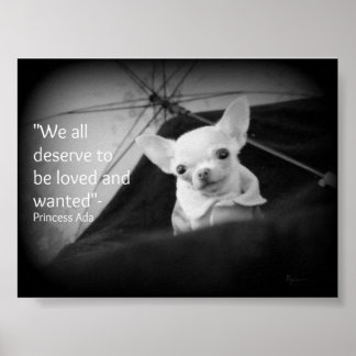 Poster Chihuahua apprécie