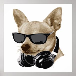 Poster Chihuahua Cool  Chihuahua portant des lunettes