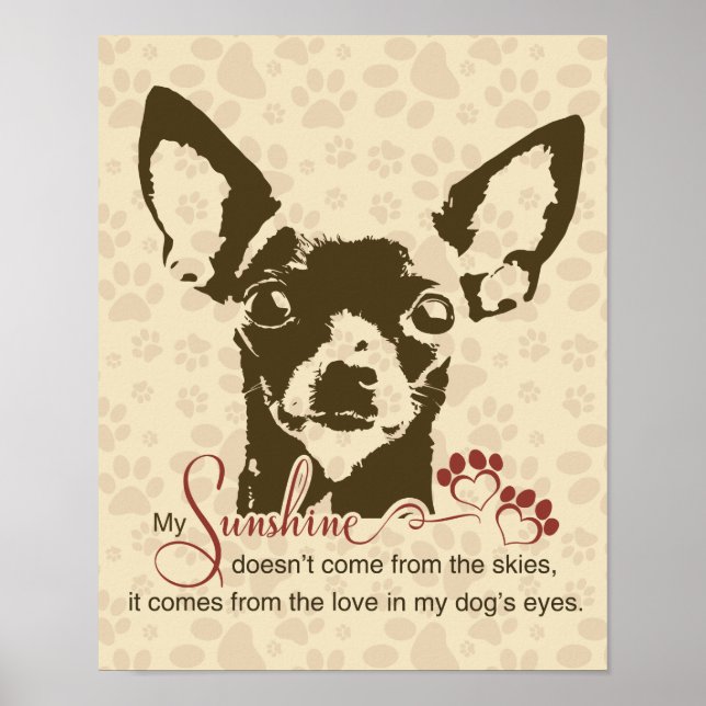 Poster Chihuahua Dog My Sunshine (Devant)