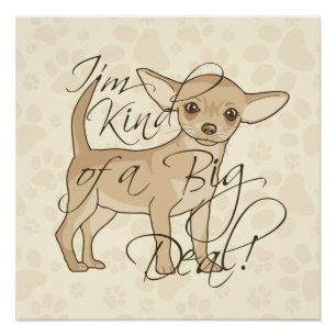Poster Chihuahua Je suis un peu une grosse affaire