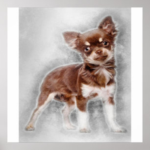 Poster Chihuahua looking at camer_dog lover