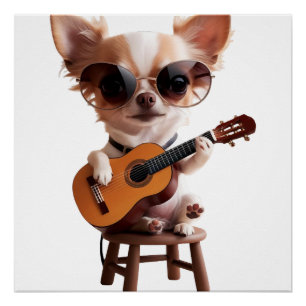 Poster chihuahua mignon jouant du guitar classique dessin