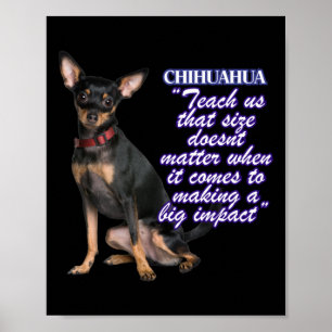 Poster Chihuahua Nous Apprend Que La Taille Des Doents Qu