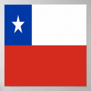 Poster Chili Drapeau Chilienne Ethnicité Homeland Pride
