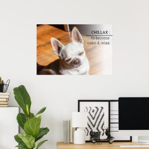Poster Chillax Chihuahua somnolent langue détendue sortie