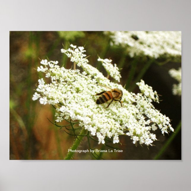 Poster Chimie (Devant)