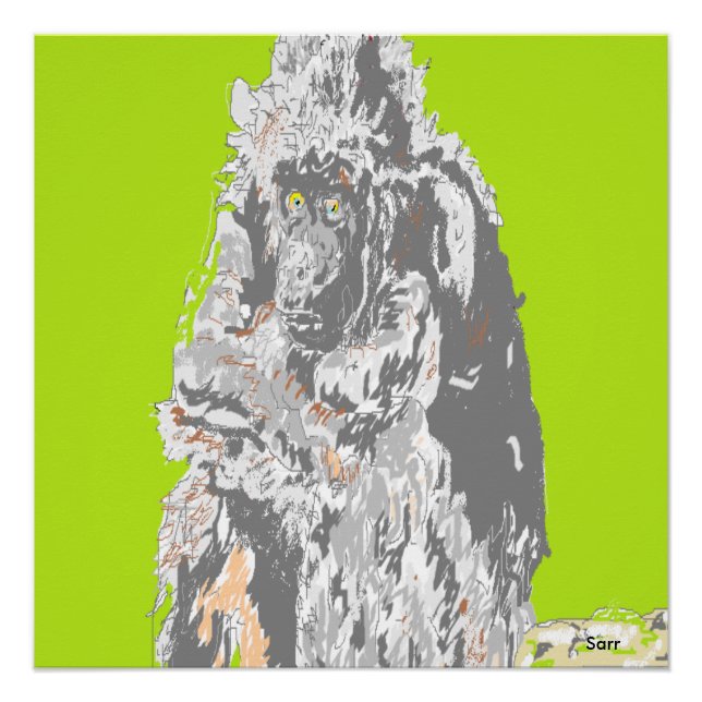 Poster Chimpanze (Vorderseite)