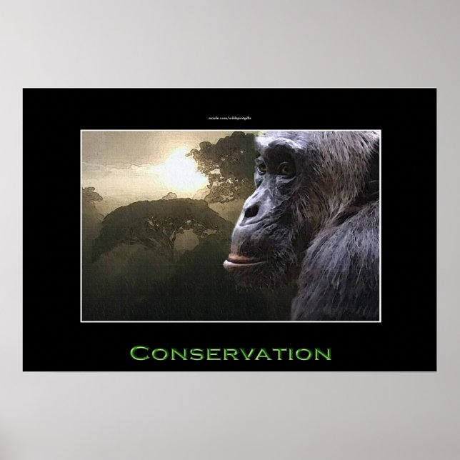 Poster Chimpanzé CONSERVATION OEuvre d'art faunique (Devant)