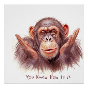 Poster Chimpanze vous dit :"Vous savez comment ça se pass