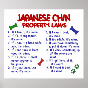 POSTER CHINE JAPONAISE PL2